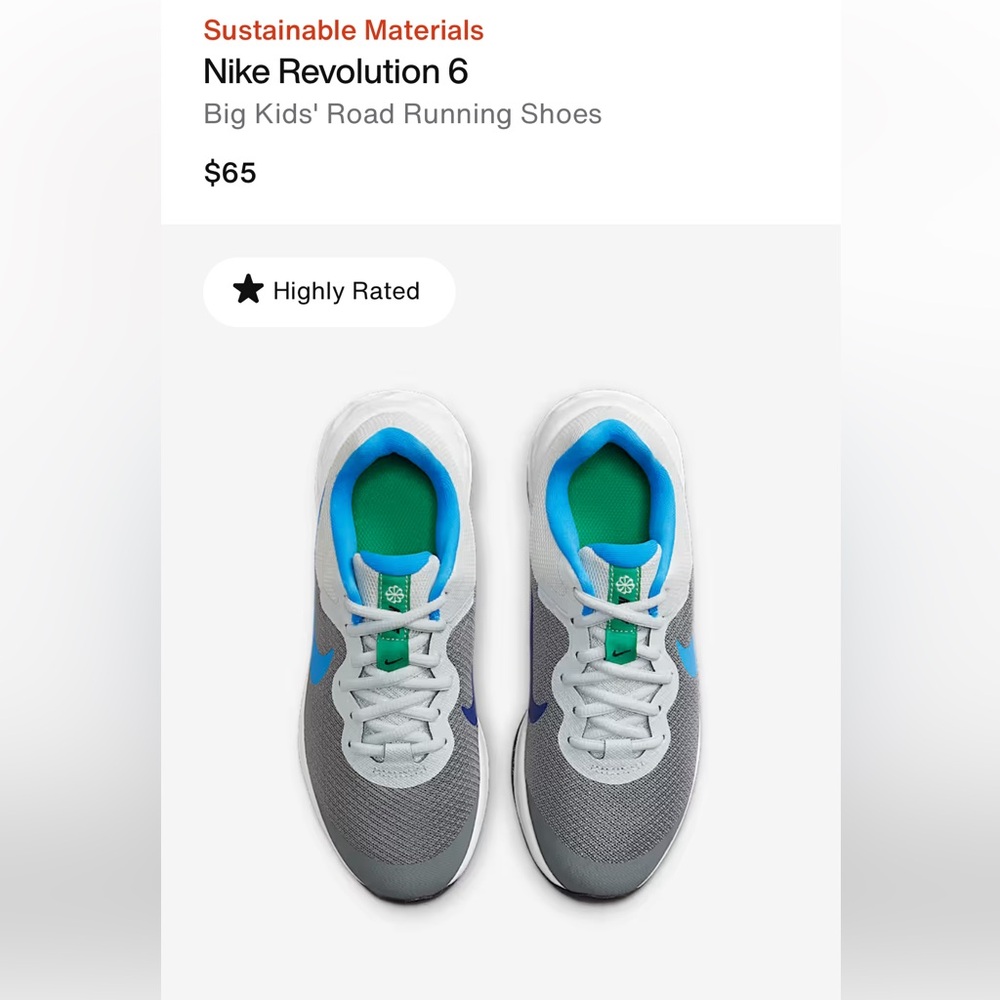 Nike Revolution Gray and Blue Sneakers